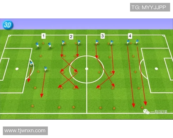 全球足球明星语言能力大揭秘各国球员如何用母语交流
